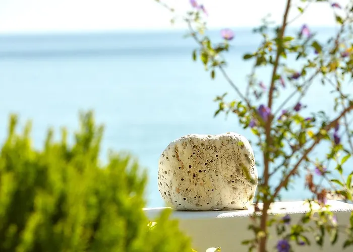 Sunrise Little Chorefton